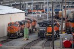 More Tacoma Yard engines
